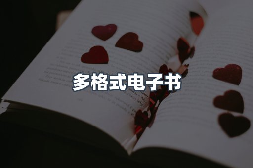 海外电子书
